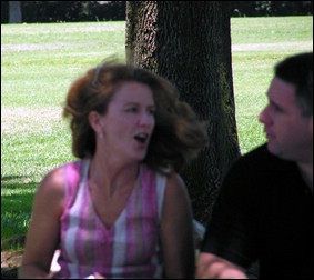 Donna Stiles